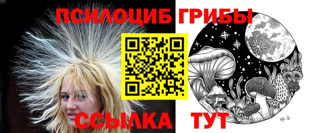 Галлюциногенные грибы мицелий  Псилоцибиновые грибы Psilocybe  Вход с VPN  Гулькевичи 